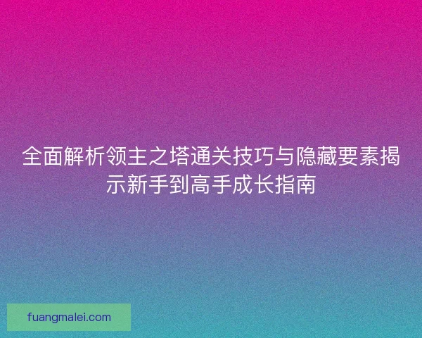 全面解析领主之塔通关技巧与隐藏要素揭示新手到高手成长指南